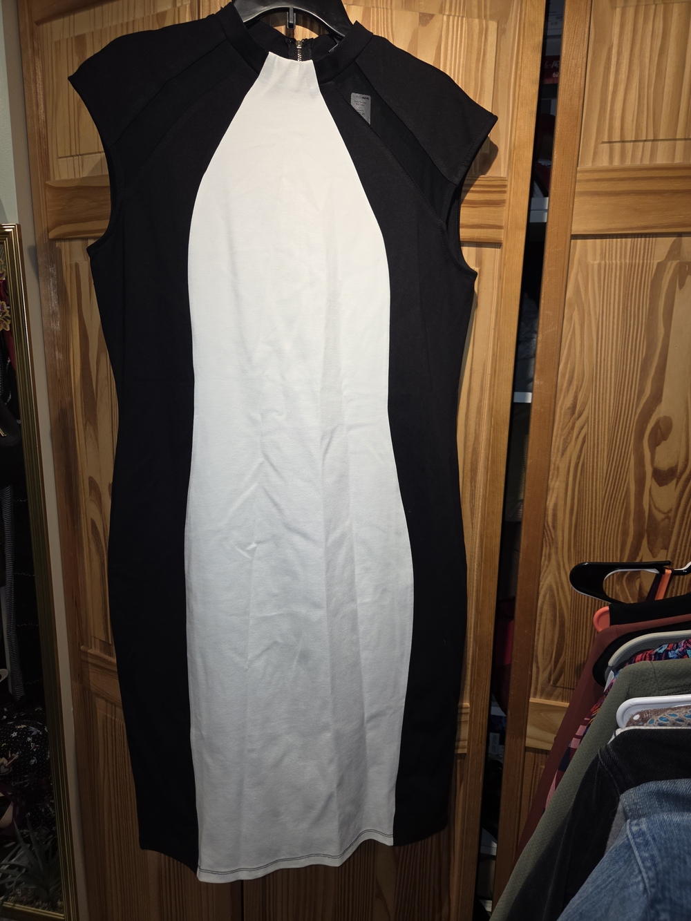 Sleeveless Black and White Sheath Dress